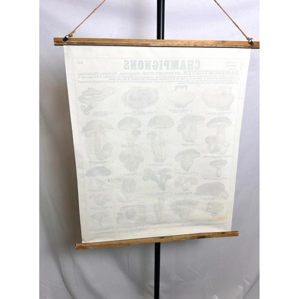 Vintage French Mushroom Botanical Scroll Wall Hanging Canvas Fungi Chart Art